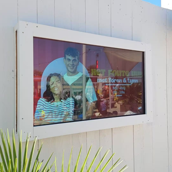 Avlink 55inch outdoor IP66 display