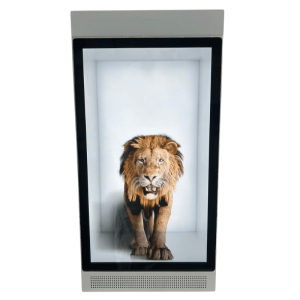 avlink 21.5inch holobox factory
