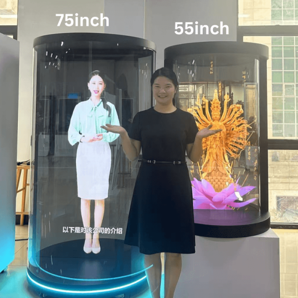 75inch 55inch transparent hologram