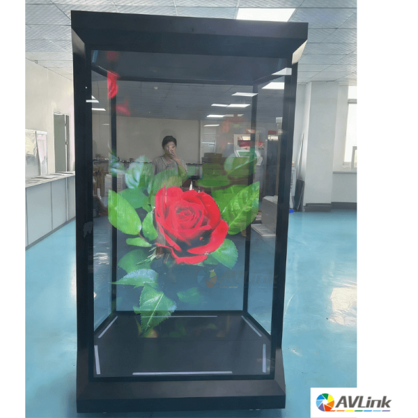 75 inch Life Size Transparent Holographic Display Holograms