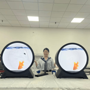 24 inch Round LCD Display Transparent Holobox, holographic display, 1280*1280 high resolution, brightness 700nits, HDMI input or Android or Windows OS, PCAP touch screen