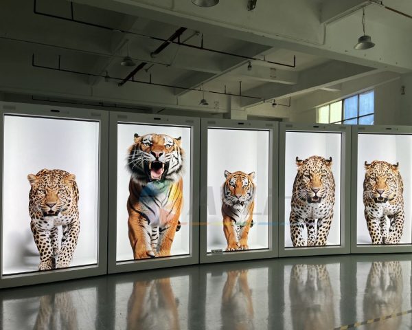 86 inch High Brightness Transparent 3D Hologram Display Outdoor Beam Box